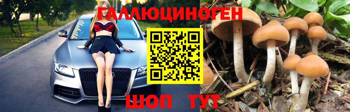 Галлюциногенные грибы Psilocybine cubensis  Вход с VPN  Алатырь 